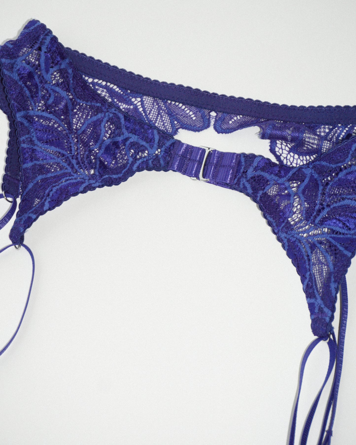 Salvia Garter matisse blue