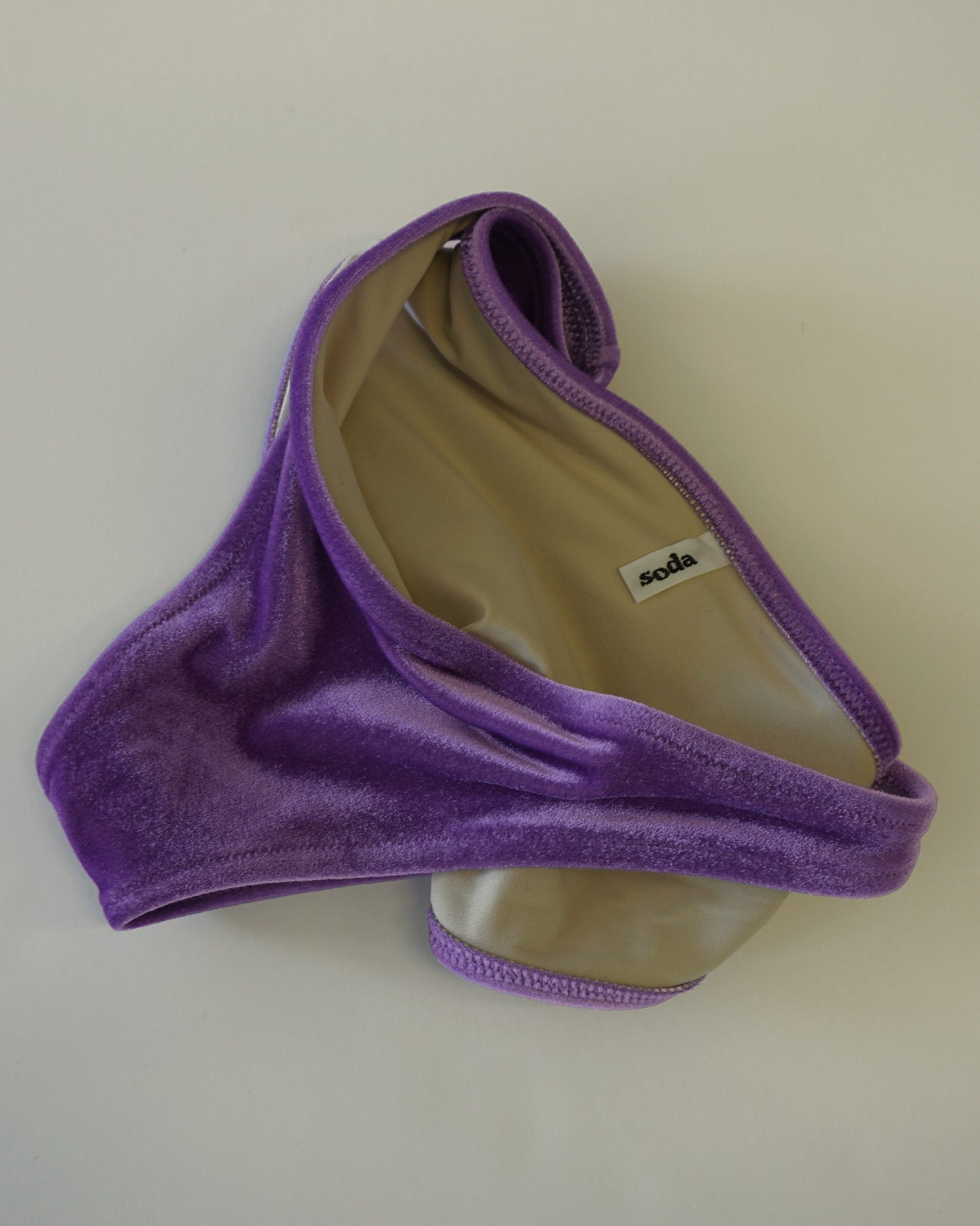 Swim Low Rise Panty purple velvet