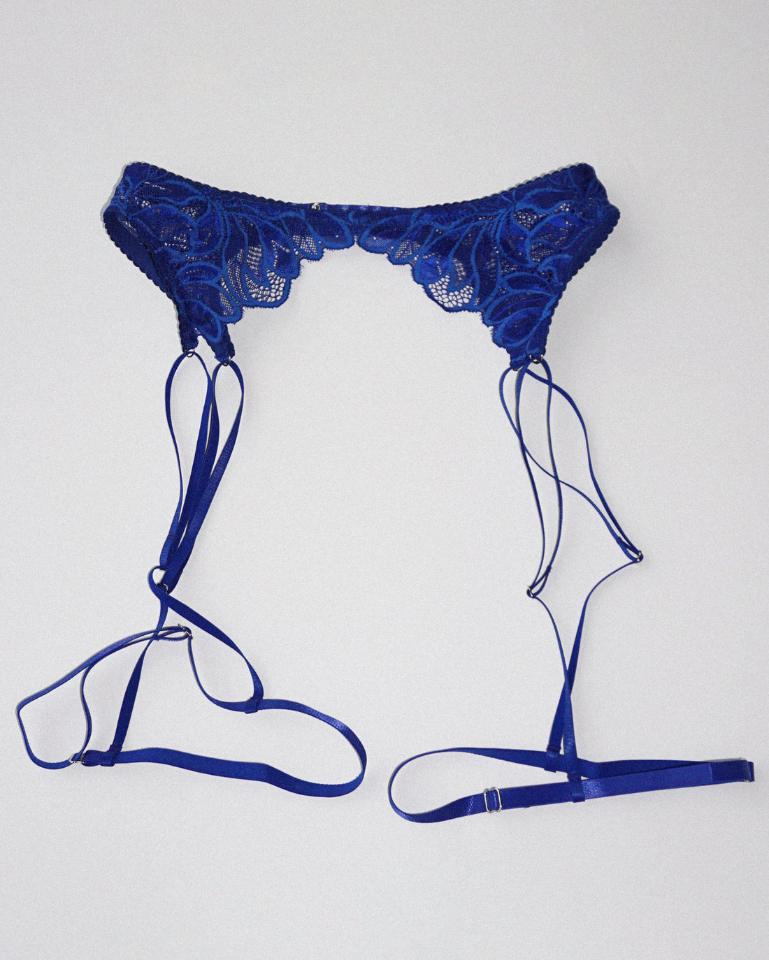 Salvia Garter matisse blue